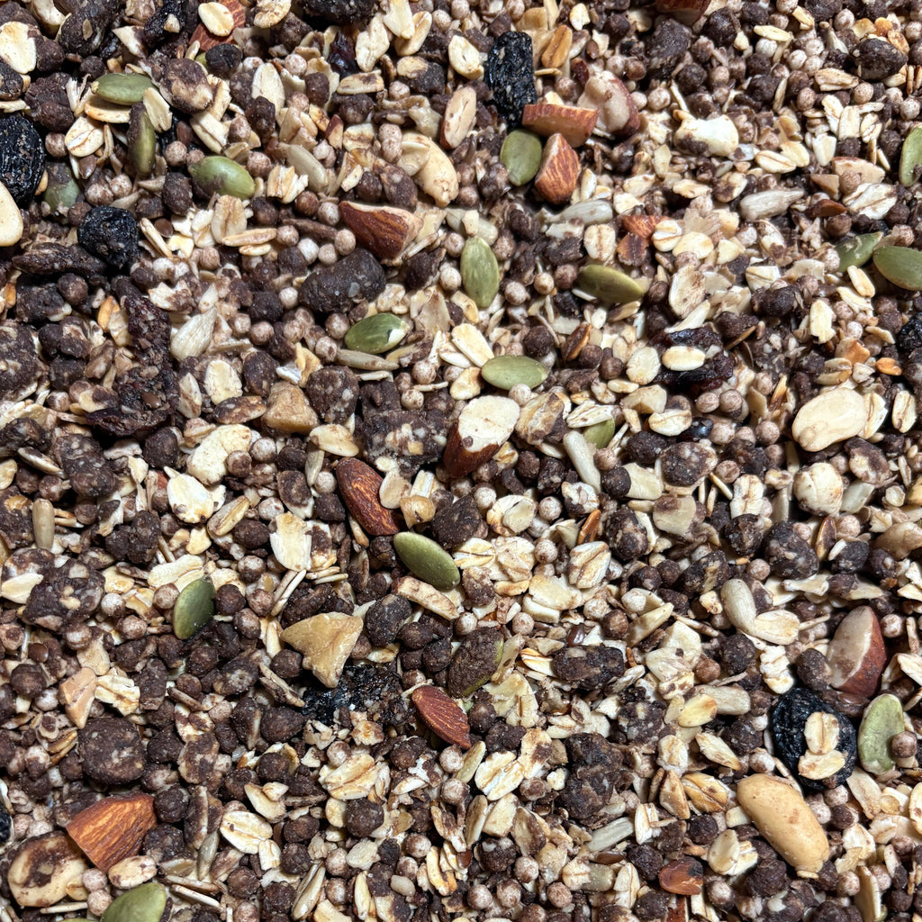 Close-up of a granola mixture of seeds and grains with various colors and textures.